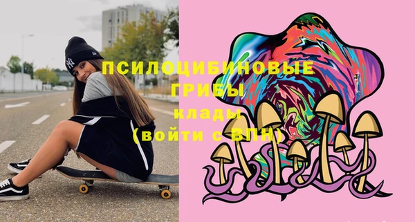 крисы Абдулино