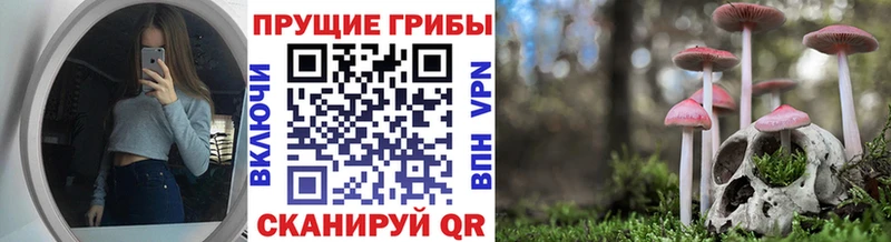 Псилоцибиновые грибы GOLDEN TEACHER  цена   KRAKEN tor  Белоусово 