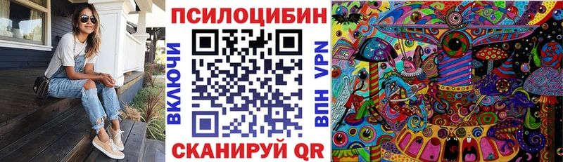 Галлюциногенные грибы Psilocybine cubensis Белоусово